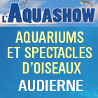 Aquashow – Aquarium et Spectacle d’oiseaux à Audierne