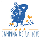 Camping de la Joie - Penmarc'h - Finistere Sud 29