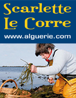 Atelier Scarlette Le Corre - marin-pêcheur et algoculteur